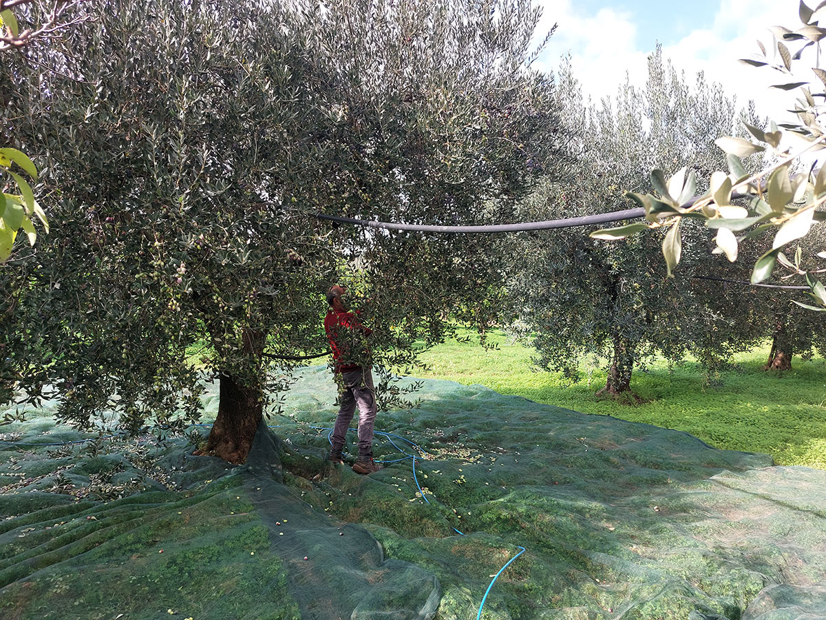 20211119_120604_1200